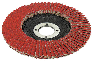 Ceramic Flap Disc